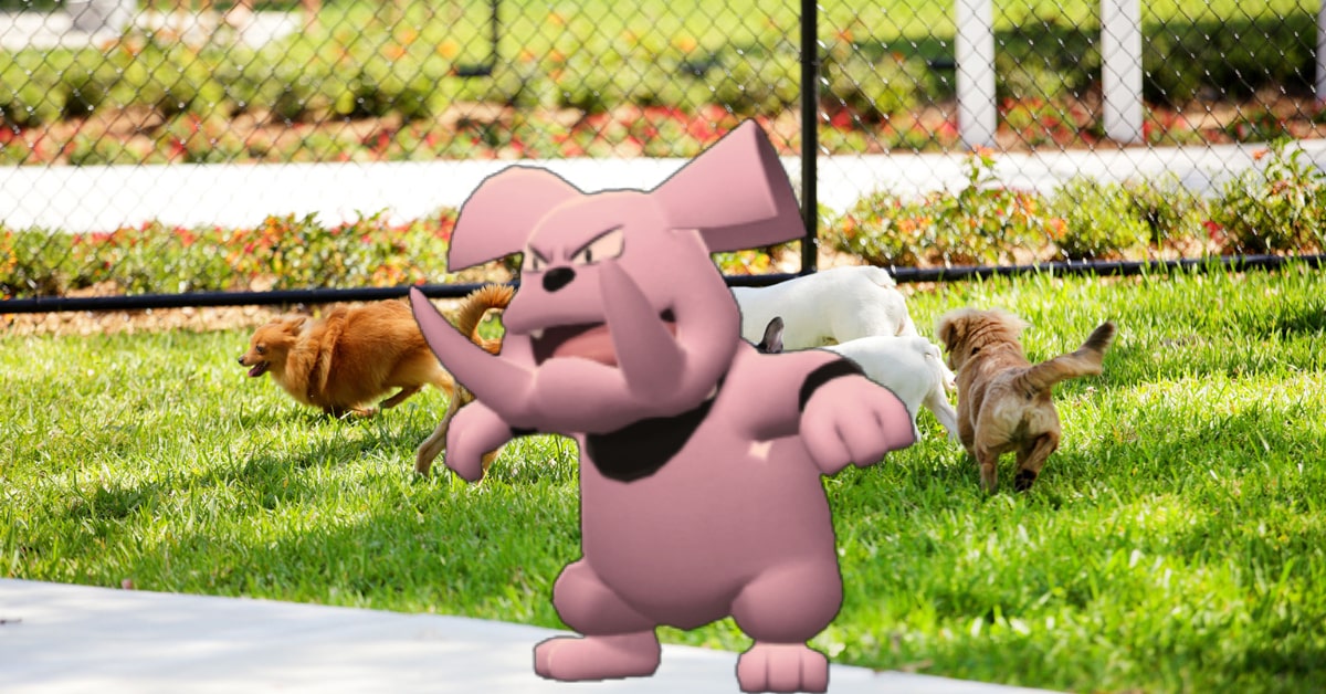 pokemon soul silver on pc
